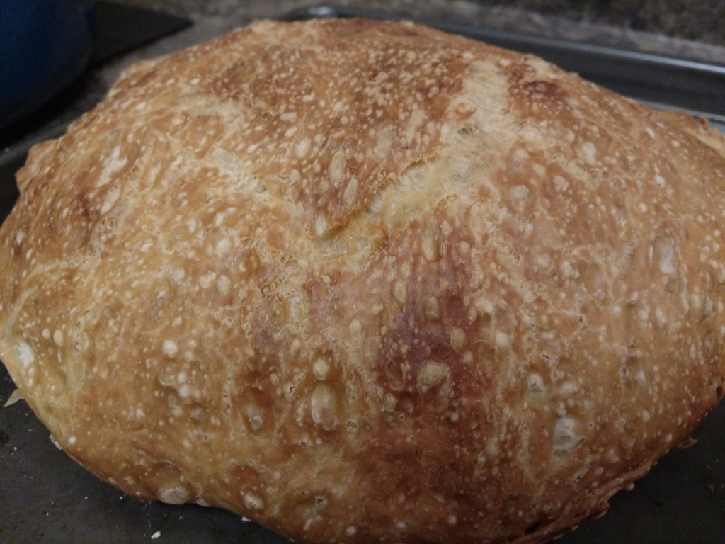 Simple No-Knead Bread